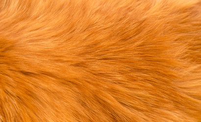 Similar image 21986042