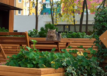 Similar image 21986044