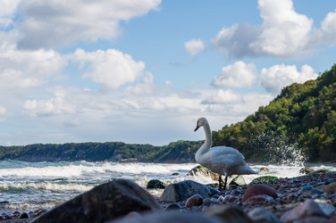 Similar image 21986049