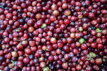 Similar image 21989697