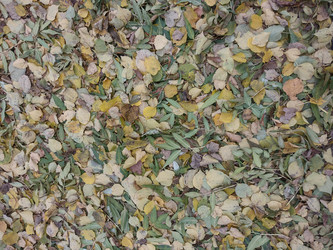 Similar image 21989016