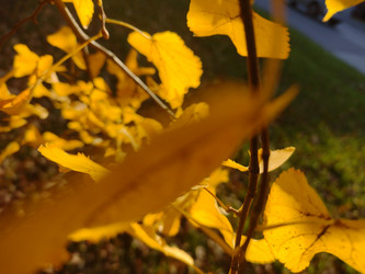 Similar image 21989018