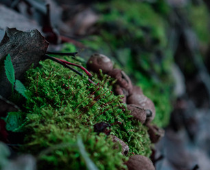 Similar image 21989283