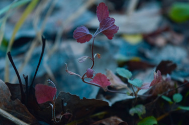 Similar image 21989284