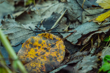 Similar image 21989285