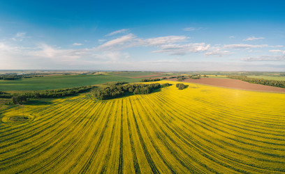 Similar image 21979694