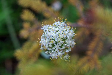 Similar image 21978036