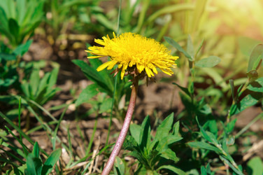 Similar image 21978037