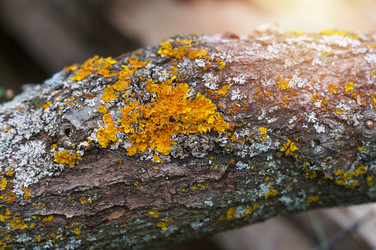 Similar image 21988395