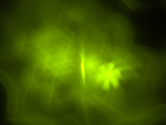 Similar image 21977357