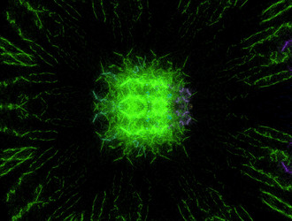 Similar image 21977358