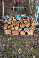 Similar image 21987831