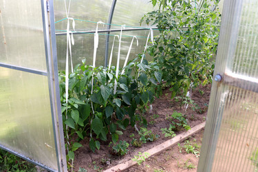 Similar image 21987832