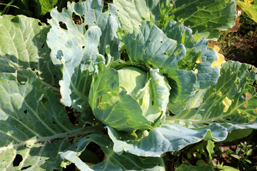 Similar image 21987833