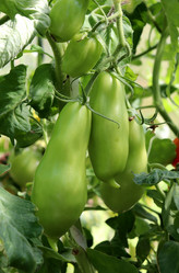 Similar image 21987834