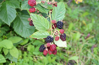 Similar image 21987835