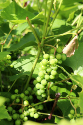 Similar image 21987946