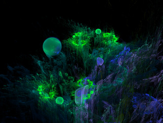 Similar image 21977365