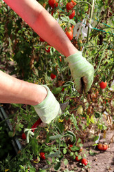 Similar image 21987836