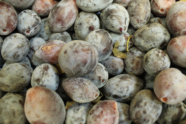 Similar image 21989079