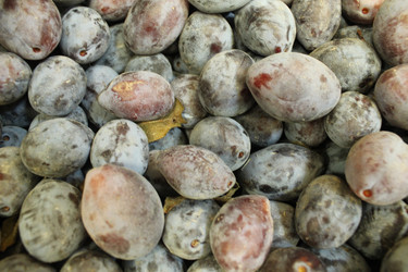 Similar image 21989080