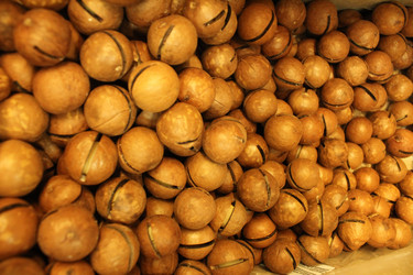 Similar image 21989084