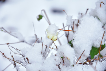 Similar image 21989383