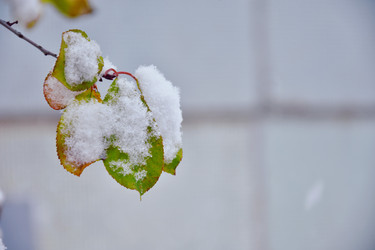 Similar image 21989384