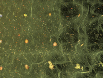 Similar image 21977540