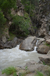 Similar image 21978329