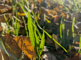 Similar image 21989038