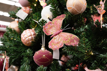 Similar image 21979269