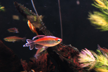 Similar image 21989098