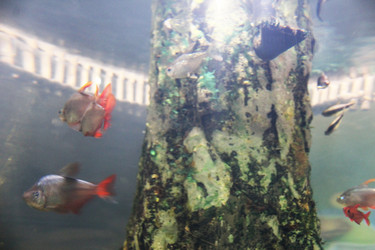 Similar image 21989100