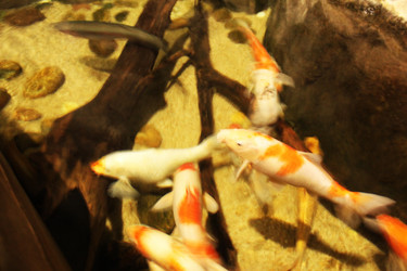 Similar image 21989101