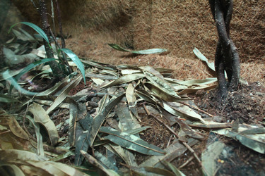 Similar image 21989102