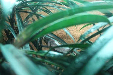 Similar image 21989103