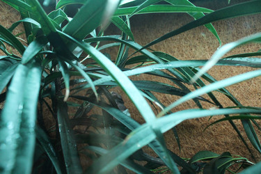 Similar image 21989104