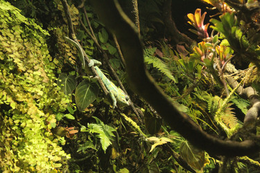 Similar image 21989105