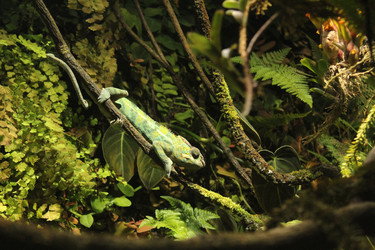 Similar image 21989106