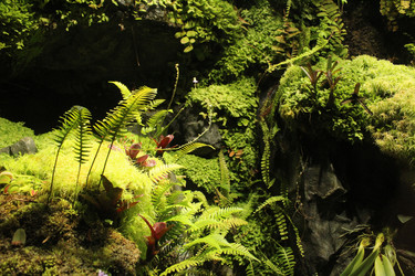 Similar image 21989107