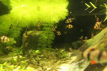 Similar image 21989108