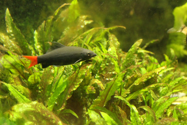 Similar image 21989109