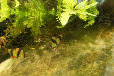 Similar image 21989110