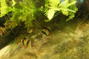 Similar image 21989111