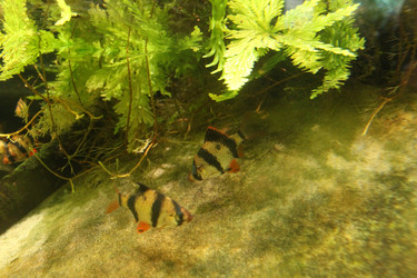 Similar image 21989112