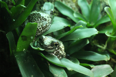 Similar image 21989113