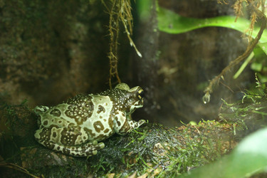 Similar image 21989114