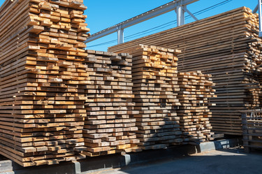 Similar image 21979709