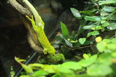 Similar image 21989115